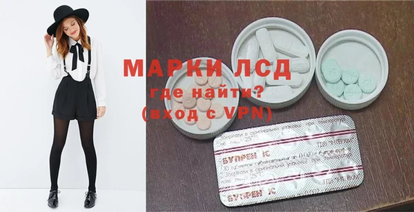 PSILOCYBIN Баксан