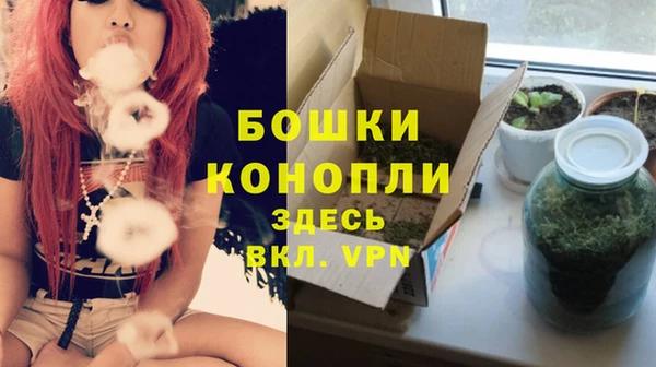 PSILOCYBIN Баксан